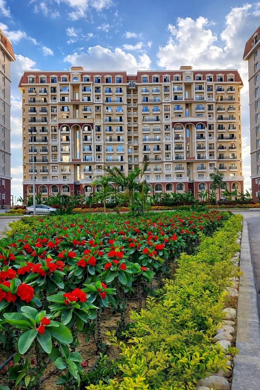 أعمال الواجهات في صواري